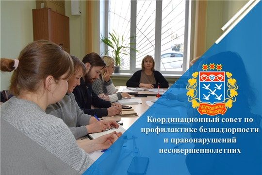 Координационный совет по профилактике безнадзорности и правонарушений несовершеннолетних