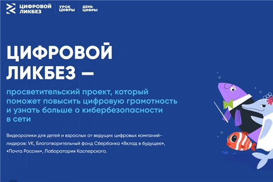 VK и АНО «Цифровая экономика» запускают новый сезон «Цифрового ликбеза»