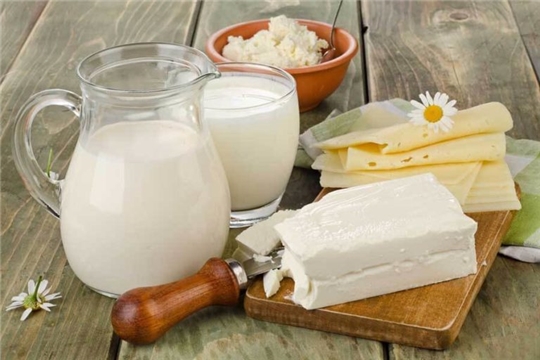 О безопасности молока и молочных продуктов
