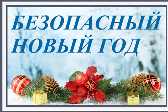 Соблюдайте правила безопасности в новогодние праздники