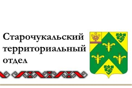 Собрание граждан об итогах социально-экономического развития Старочукальского сельского поселения за 2022 год и о задачах на 2023 год