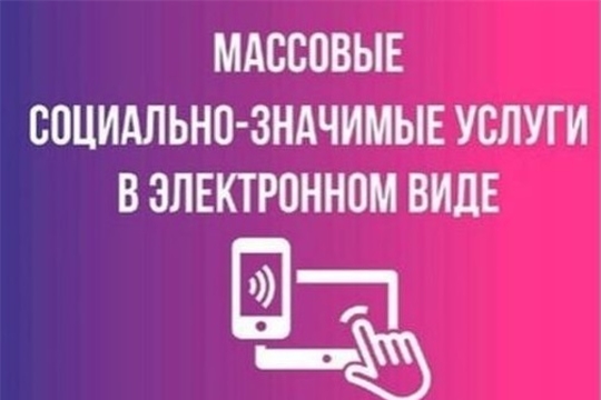 Социально-значимые услуги в электронном виде