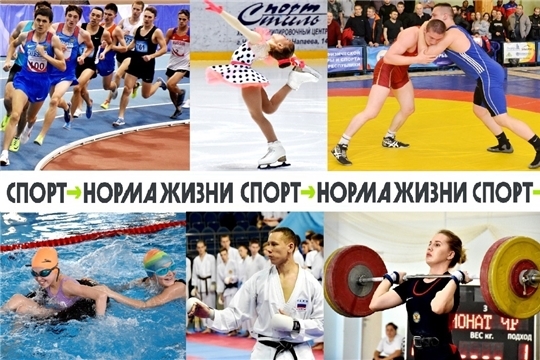 Спортивные выходные. Афиша основных событий на 17-18 декабря