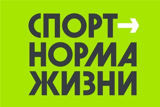 Итоги реализации регионального проекта «Спорт – норма жизни» подвели на еженедельном совещании у Главы Чувашии