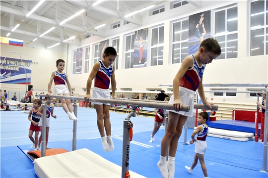 В Чувашии планируется строительство Центра подготовки по спортивной и художественной гимнастике