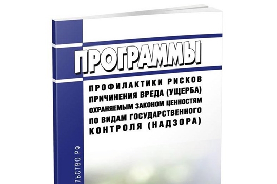 О программах профилактики рисков причинения вреда (ущерба) охраняемым законом ценностям