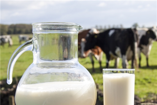 О качестве молока на территории Чувашской Республики