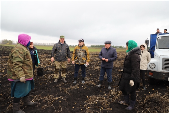 Министр сельского хозяйства Чувашии Сергей Артамонов в Яльчикском районе ознакомился с ходом уборки картофеля