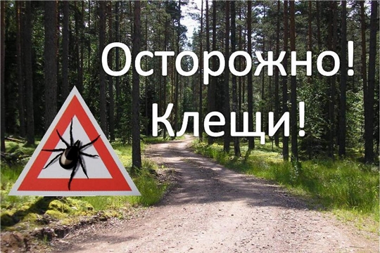 Осторожно клещи!