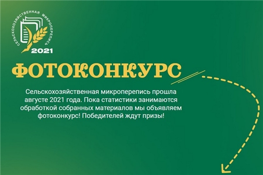 Начинается голосование за лучшие фотографии