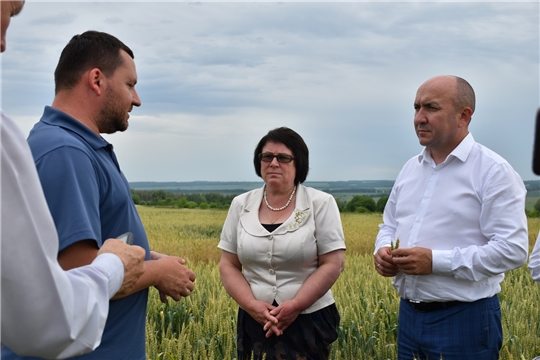 Алатырский район с рабочим визитом посетил министр сельского хозяйства Чувашской Республики Сергей Артамонов