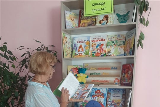 Беседа у книжной выставки новинок прошла в Алтышевской сельской библиотеке