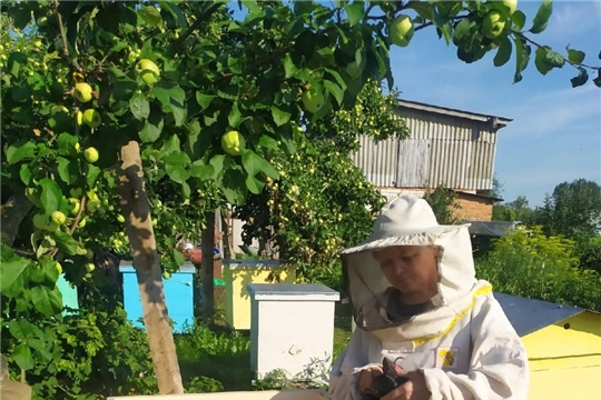 Соцподдержка семье Архиповых при открытии собственного дела — пчеловодства