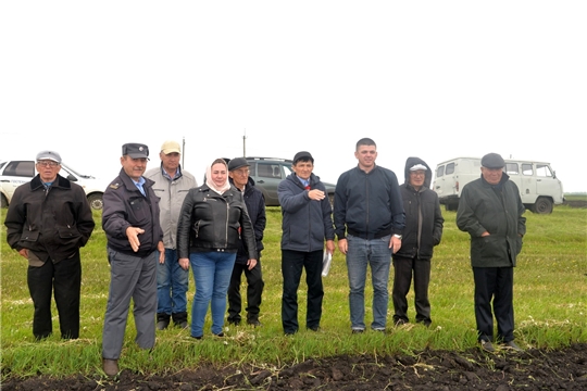 В Батыревском районе проведен смотр полей