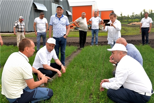 Глава администрации Батыревского района принял участие в Республиканском смотре посевов