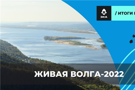 В проекте «Живая Волга» приняли участие более 13000 россиян
