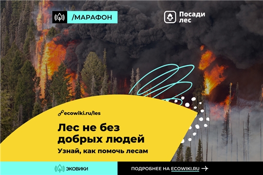  В России стартовал марафон против лесных пожаров
