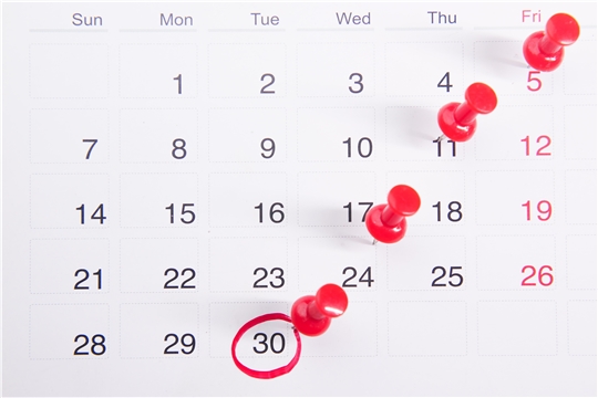 Календарь предпринимателя: отчетность и платежи в июне 2022 года