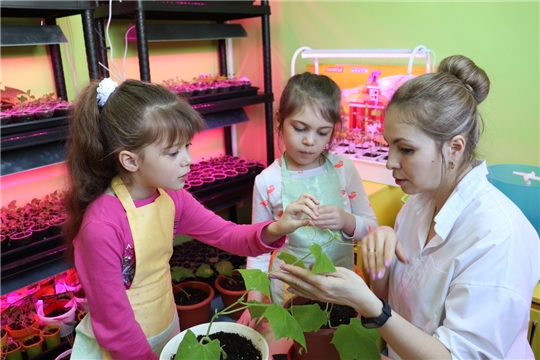 День экологического образования в детских садах и школах города Чебоксары