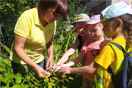 Экскурсия дошкольников в Ботанический сад