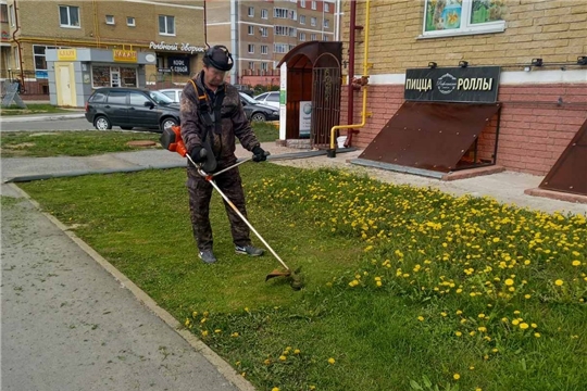 В Чебоксарах набирают обороты мероприятия по покосу травы