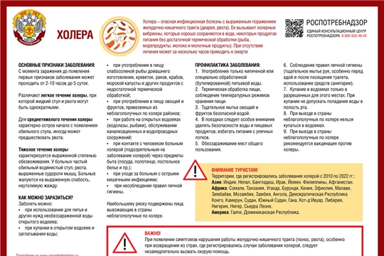 Управление Роспотребнадзора по Чувашской Республике - Чувашии напоминает о симптомах и опасности холеры
