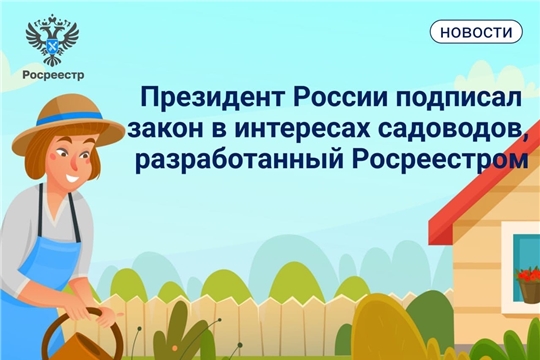 На дачах можно держать кур и кроликов: изменения законодательства для дачников и садоводов