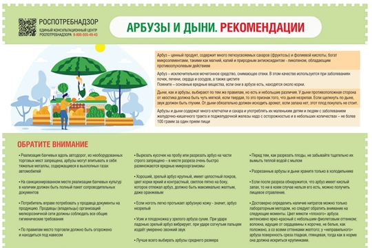О рекомендациях по выбору арбузов и дынь