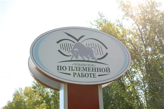 Рабочая поездка Главы Чувашии О.Николаева в Чебоксарский район