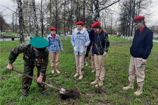 «Сад памяти» появился в Сквере Победы