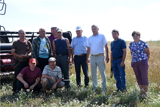 Уборка зерновых в Ибресинском районе набирает обороты