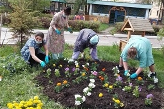 В Доме ребенка «Малютка» активно занимаются озеленением территории