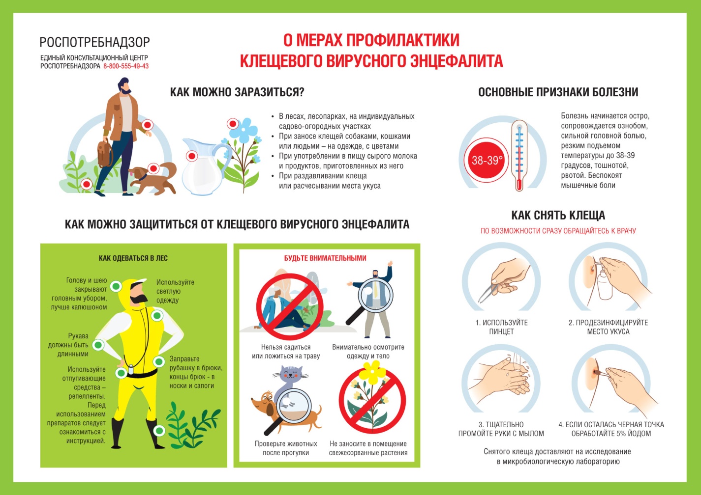 О рекомендациях, куда обращаться в случае присасывания клещей | Управа по  Калининскому району администрации города Чебоксары