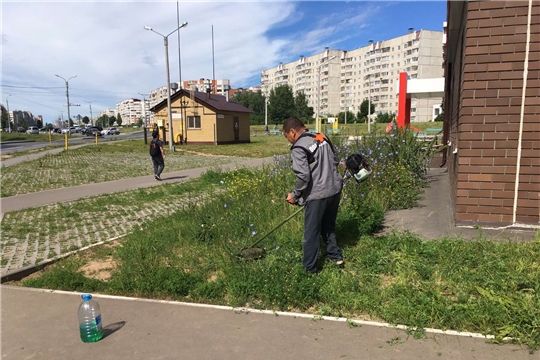 В Калининском районе продолжается второй этап покоса травы