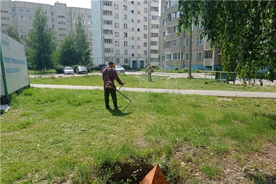 В Калининском районе г. Чебоксары идёт третий этап покоса травы