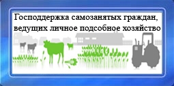 Господдержка граждан, ведущих личное подсобное хозяйство, зарегистрированных в качестве самозанятых