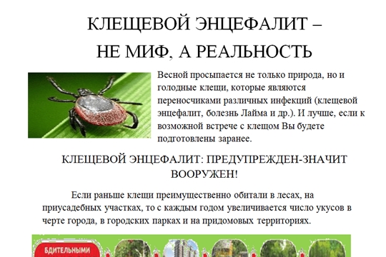 О проведении «горячей линии» по профилактике клещевого энцефалита