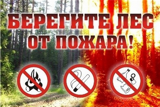 БЕРЕГИТЕ ЛЕС ОТ ПОЖАРА!