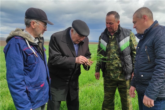 С ходом весенне-полевых работ ознакомился глава администрации района Сергей Михайлов