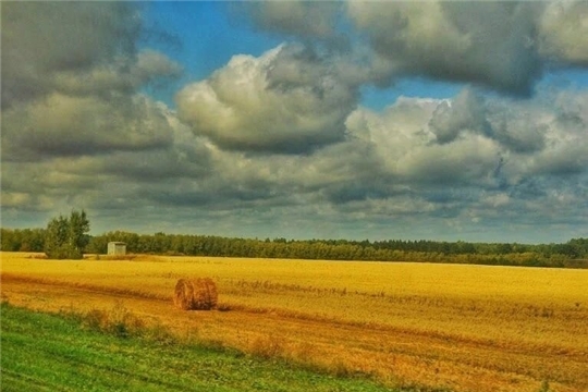 Началось голосование за лучшие фотографии