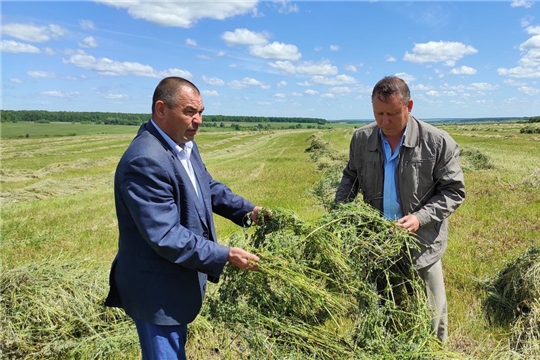 Заготовка кормов - основополагающая часть развития животноводства