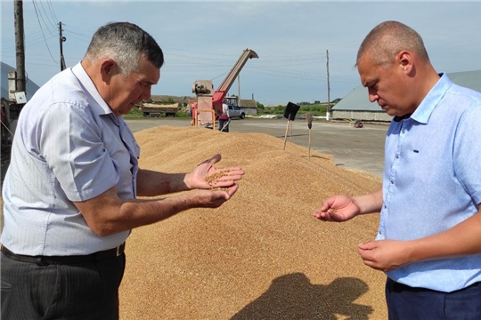 Уборка зерновых в районе идет активными темпами