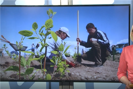 Журналисты Чувашии посадили кустарники в мемориальном комплексе