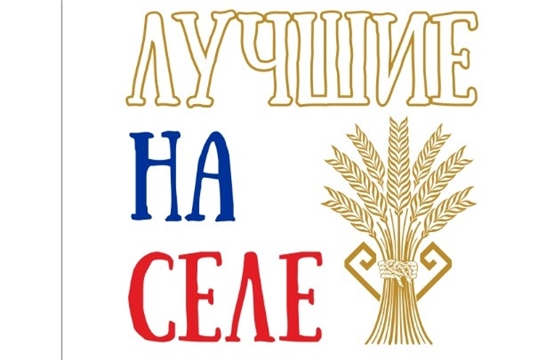 Лучшие на селе