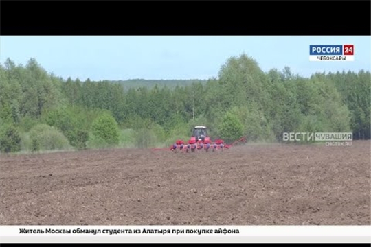 В Чувашии из-за холодной весны замедлился темп посевной