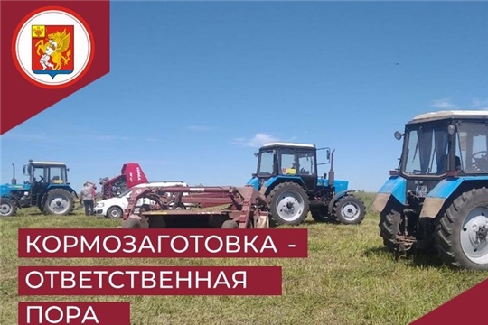 Кормозаготовка – ответственная пора!
