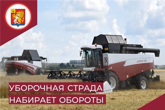Уборочная страда набирает обороты