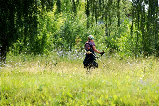 В Чебоксарах продолжается работа по покосу травы