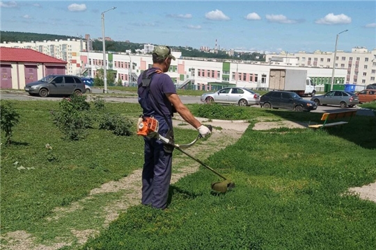 В Ленинском районе Чебоксар продолжается третий этап покоса травы