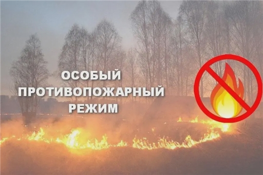 7 мая вступает в силу постановление об установлении на территории Мариинско-Посадского района особого противопожарного режима